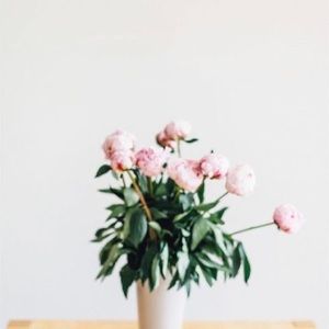 Meet your Posher, Val